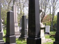 01-17 Nyeviczkey József